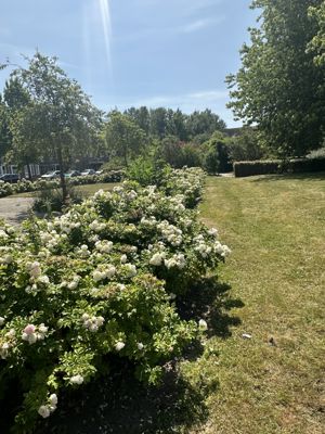 Foto 168 uit Rondje Beverwaard 2026