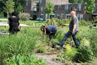 Foto 42 uit Tropische Tuin12_6