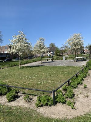 Foto 94 uit Rondje Beverwaard 2026