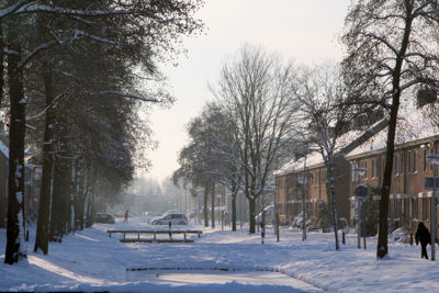 Foto 20 uit SneeuwBeverwaard10