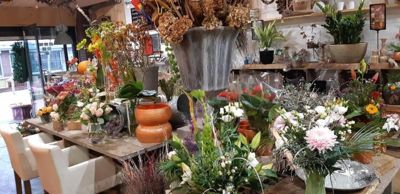 Foto 12 uit WorkShop Chantal