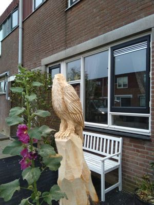 Foto 5 uit 2019 KunsT Arend