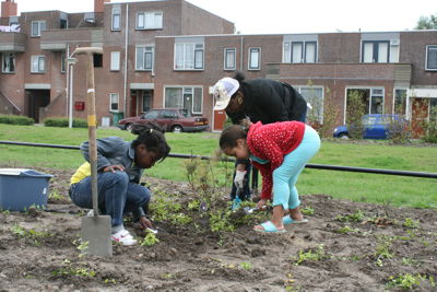 Foto 46 uit Tropische Buurttuin