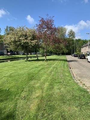 Foto 260 uit StratenBEVERWAARD