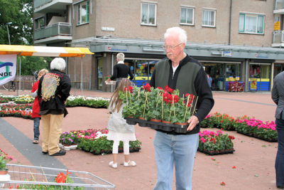 Foto 110 uit OpzoomerenPlantjes