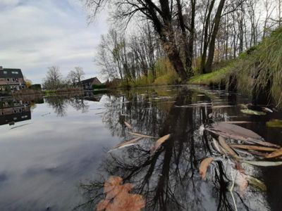 Foto 57 uit Herfst In Beverwaard
