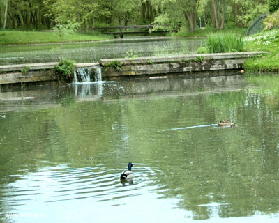 Foto 570 uit StratenBEVERWAARD