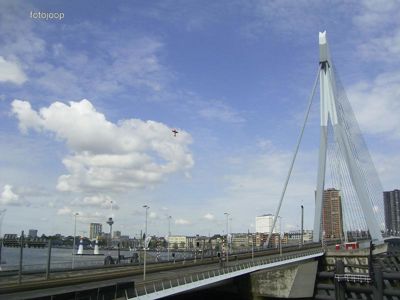 Foto 75 uit red bull air race r.dam