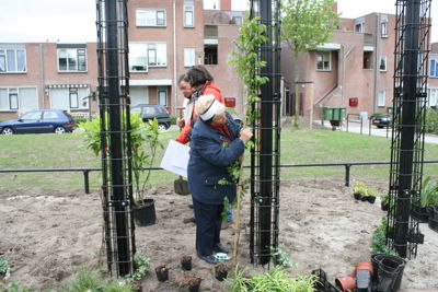 Foto 32 uit Tropische Buurttuin