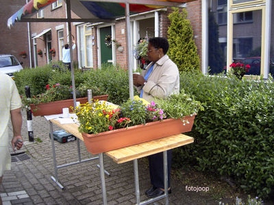 Foto 36 uit opzomeren 2005