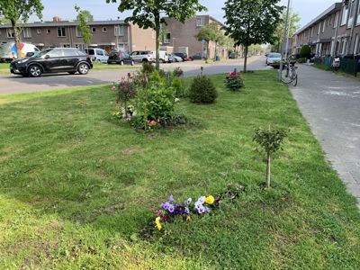 Foto 150 uit Rondje Beverwaard 2026