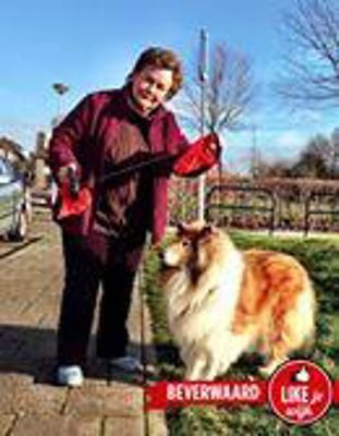 Foto 475 uit LIKEJEWIJK FOTO'S_2