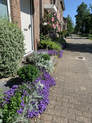 Foto 63 uit Rondje Beverwaard 2026