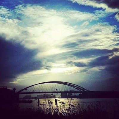 Foto 275 uit BRIENENOORDBRUG