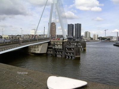 Foto 90 uit red bull air race r.dam