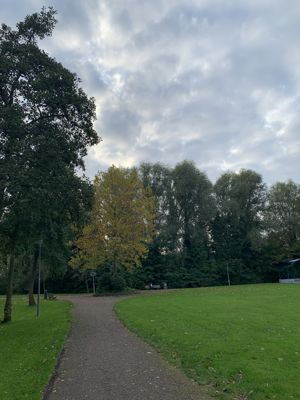 Foto 398 uit Rondje Beverwaard 2026