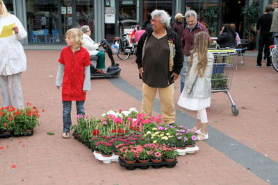 Foto 105 uit OpzoomerenPlantjes