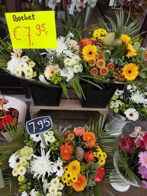 Foto 309 uit NeelyshaBloemen