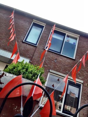 Foto 133 uit OranjeInBeverwaard