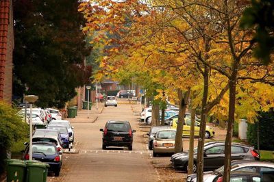 Foto 65 uit Herfst In Beverwaard