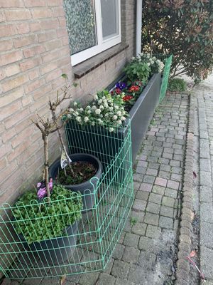 Foto 6 uit Lente En Zomer 2022