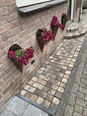 Foto 53 uit Rondje Beverwaard 2026