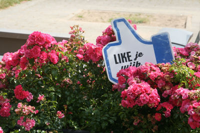 Foto 104 uit StratenBEVERWAARD