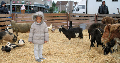 Foto 46 uit Sinterklaas 2009B.W