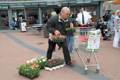 Foto 68 uit OpzoomerenPlantjes