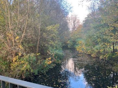 Foto 101 uit X-Herfst Verschillende jaren  2026