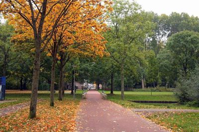 Foto 46 uit Herfst In Beverwaard