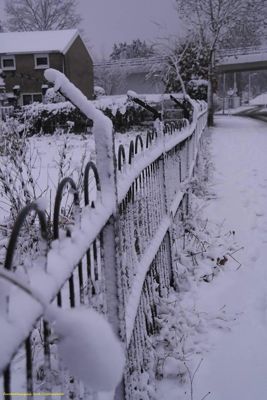 Foto 29 uit WinterIn Beverwaard_2