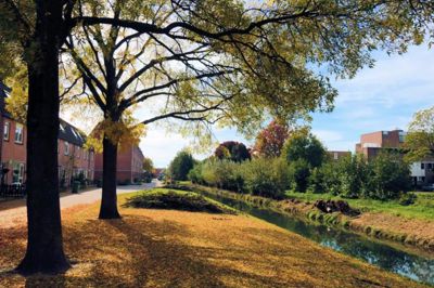 Foto 6 uit Herfst In Beverwaard