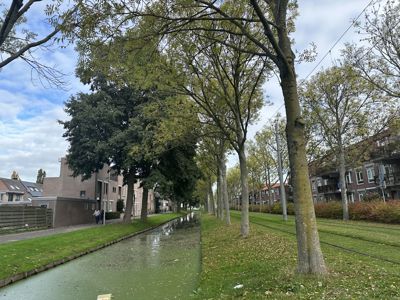 Foto 45 uit X-Herfst Verschillende jaren  2026