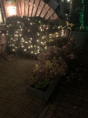 Foto 56 uit Kerst In Beverwaard