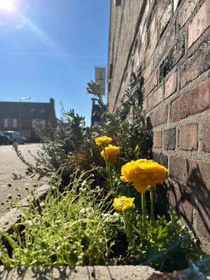 Foto 78 uit Rondje Beverwaard 2026