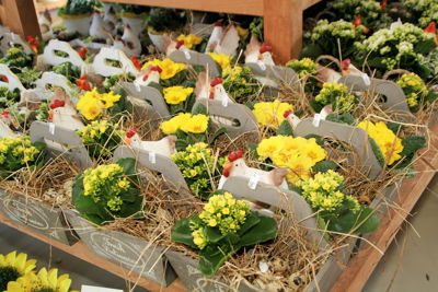 Foto 218 uit WINKELSBeverwaard