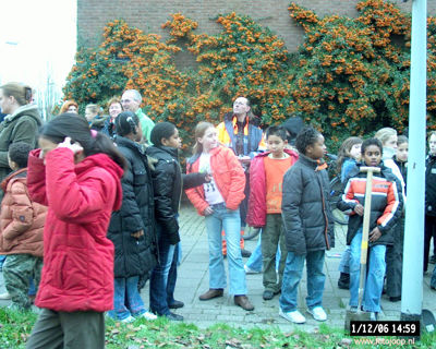 Foto 56 uit bloembollen planten