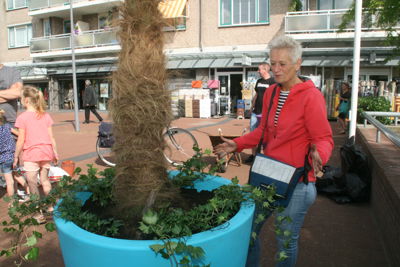 Foto 80 uit HippePlantenBakken