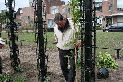 Foto 15 uit Tropische Buurttuin