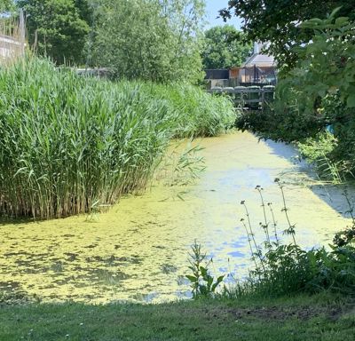 Foto 44 uit Lente En Zomer 2022