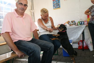 Foto 24 uit Peellandstraat 28_7