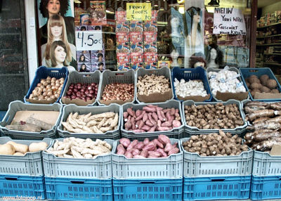 Foto 24 uit TOKO MILOBI NEW07