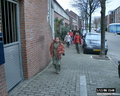 Foto 145 uit bloembollen planten