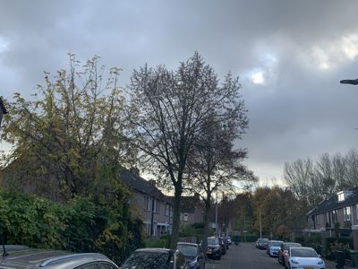 Foto 32 uit X-Herfst Verschillende jaren  2026