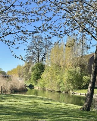 Foto 183 uit Rondje Beverwaard 2026