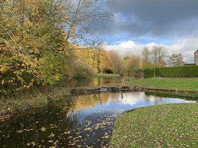 Foto 410 uit Rondje Beverwaard 2026