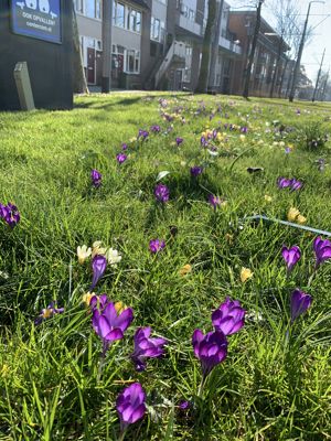 Foto 80 uit Rondje Beverwaard 2026