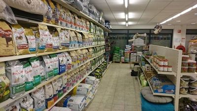 Foto 8 uit Dieren Zaak Catdox