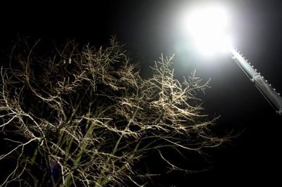 Foto 26 uit BruggenBeverwaard